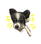 マイク①（個別スタンプ：3）