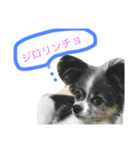 マイク①（個別スタンプ：6）