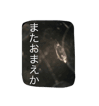 生物採集者向けのスタンプ（個別スタンプ：6）