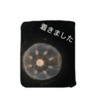 生物採集者向けのスタンプ（個別スタンプ：7）