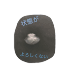 生物採集者向けのスタンプ（個別スタンプ：11）