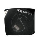 生物採集者向けのスタンプ（個別スタンプ：15）
