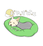 ちいさなヨーキー・テオ1（個別スタンプ：6）
