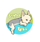 ちいさなヨーキー・テオ1（個別スタンプ：8）