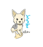 ちいさなヨーキー・テオ1（個別スタンプ：9）
