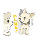 ちいさなヨーキー・テオ1（個別スタンプ：19）