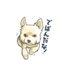 ちいさなヨーキー・テオ1（個別スタンプ：20）