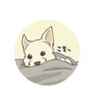 ちいさなヨーキー・テオ1（個別スタンプ：21）