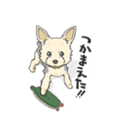 ちいさなヨーキー・テオ1（個別スタンプ：22）