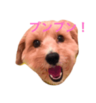 ぼんさん（個別スタンプ：1）