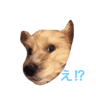 ぼんさん（個別スタンプ：2）