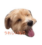 ぼんさん（個別スタンプ：3）