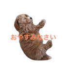 ぼんさん（個別スタンプ：7）