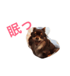 mushくん（個別スタンプ：3）