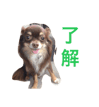 mushくん（個別スタンプ：6）