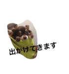 mushくん（個別スタンプ：11）