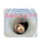 佐藤家のペットたち（個別スタンプ：6）