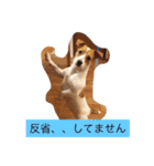 ジャックラッセル（個別スタンプ：9）