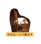 ジャックラッセル（個別スタンプ：18）