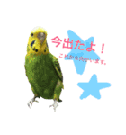 飛行戦隊セキセイ7ver.日常の挨拶編。（個別スタンプ：18）