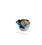 リッちゃん ～実写ver～（個別スタンプ：10）