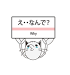 TALK CAT（個別スタンプ：3）