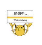 TALK CAT（個別スタンプ：6）