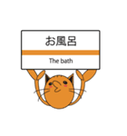 TALK CAT（個別スタンプ：13）