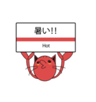 TALK CAT（個別スタンプ：21）