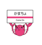TALK CAT（個別スタンプ：31）