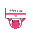 TALK CAT（個別スタンプ：33）