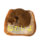 にこさんだよ（個別スタンプ：4）