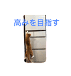 にこさんだよ（個別スタンプ：10）
