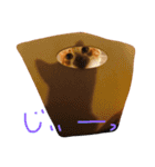 にこさんだよ（個別スタンプ：11）