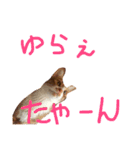 にこさんだよ（個別スタンプ：16）