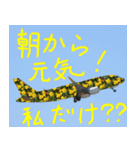 飛行機のつぶやき003（個別スタンプ：1）