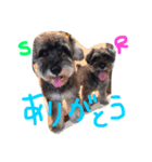 そらるいぽんの日常②（個別スタンプ：4）