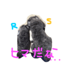 そらるいぽんの日常②（個別スタンプ：8）