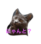 池田さん家の猫（個別スタンプ：1）