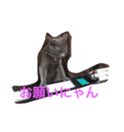 池田さん家の猫（個別スタンプ：5）