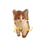 みりんとかりん（個別スタンプ：1）