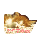 みりんとかりん（個別スタンプ：4）