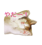 みりんとかりん（個別スタンプ：5）