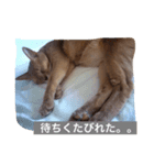 ポアロの気持ち（個別スタンプ：5）