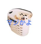 使えるもこスタンプ（個別スタンプ：8）