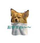 ちろる（個別スタンプ：2）