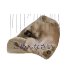 ちろる（個別スタンプ：4）