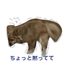 ちろる（個別スタンプ：6）
