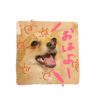 ちろる（個別スタンプ：8）