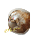 のほほん太っちょボーイズ（個別スタンプ：3）